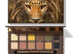 Explorer Leopard