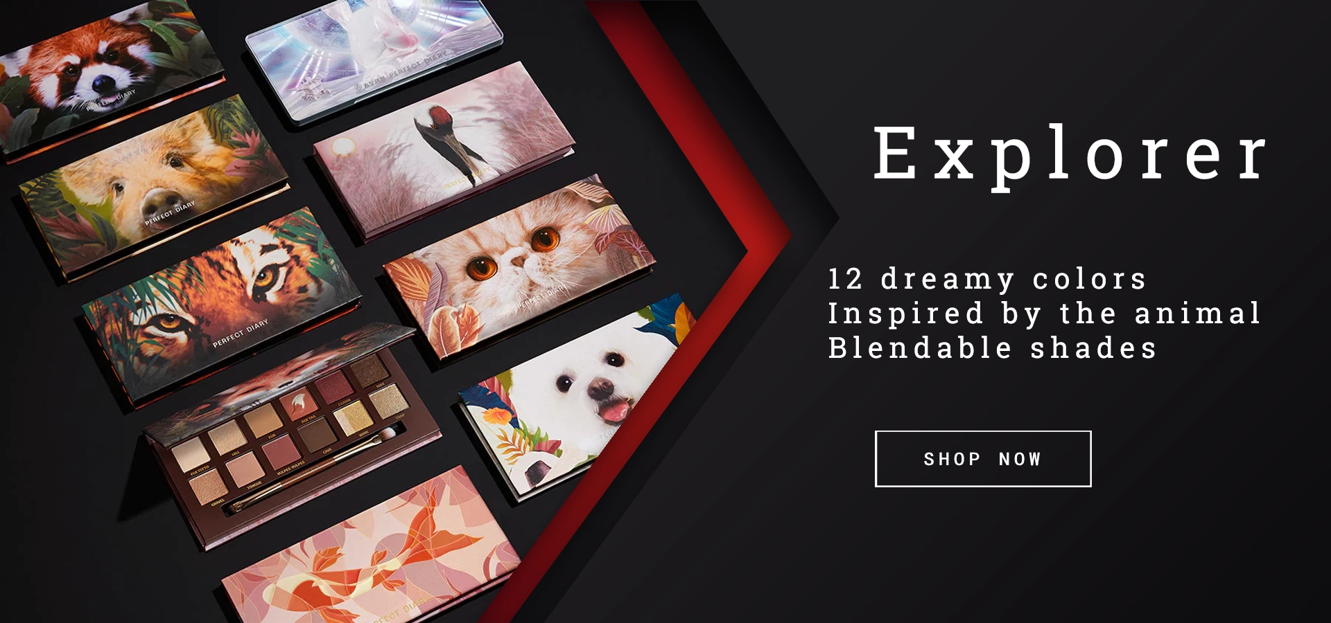 rayshir-cosmetics-home-banner-1